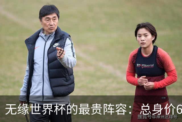 无缘世界杯的最贵阵容：总身价6.7亿 意大利5人